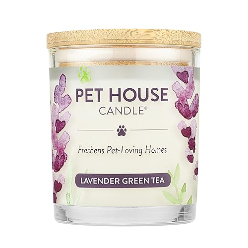 One Fur All, Pet House Candle - 100% Plant-Based Wax Candle - Pet Odor Eliminator for Home - Non-Toxic and Eco-Friendly Air Freshening Scented Candles - (Pack of 1, Pumpkin Spice) - Pack of 1 - Lavender Green Tea