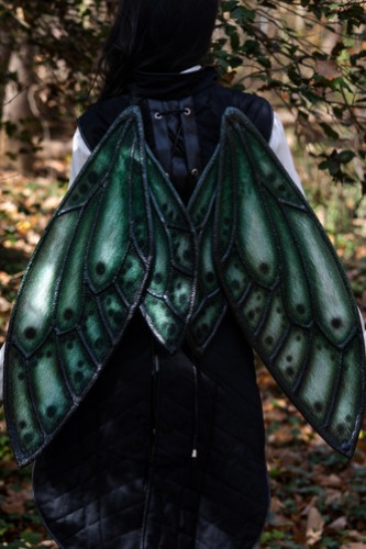 Dragonseye Fae Wings