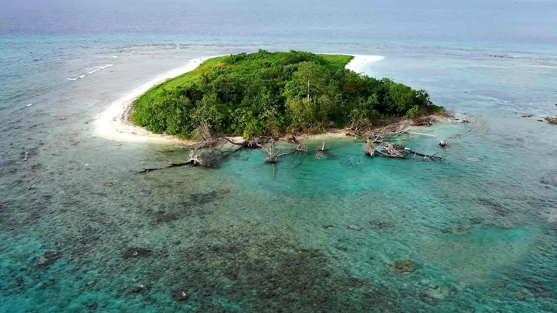 Private Island