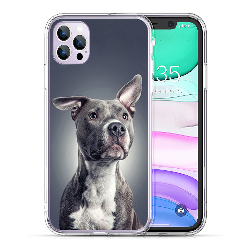 Compatible with iPhone 14 Pro Case, Cool Pitbull Phone Case Soft TPU Shockproof Clear Case Gift for Women Girls
