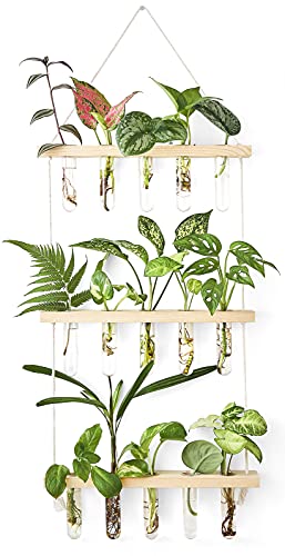Mkono Plant Propagation Mini Test Tubes, 3 Tiered Wall Hanging Plant Terrarium with Wooden Stand Flower Vase Glass Planter for Hydroponic Plant Cutting Home Garden Office Decor Plant Lover Gift - Medium - Beige