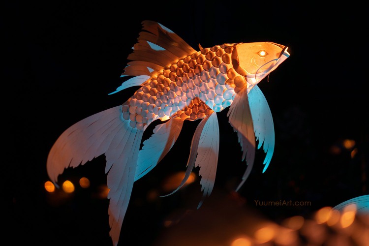 Koi Lantern DIY Kit — Yuumei