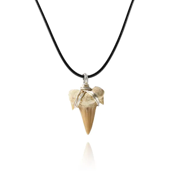 Shark Tooth Necklace for Boys, Genuine Fossil Shark Teeth Jewelry Surfer Necklace, Leather Cord Shark Necklace for boys, Shark Teeth Necklace, Cool Beach Necklaces for Men - A