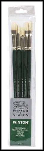 Winsor & Newton Winton Long Handle Brush (5 Pack) (Round 6, Filbert 6, Flat 6, Bright 8, Fan 3) - Round 6, Filbert 6, Flat 6, Bright 8, Fan 3