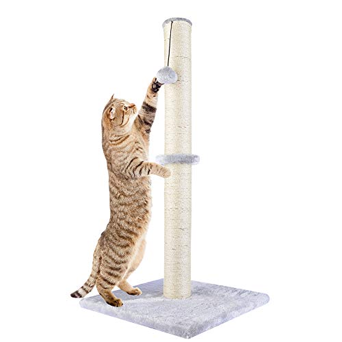 Cat Scratching Post