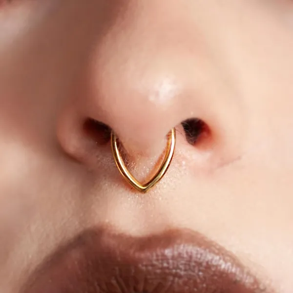 Nose ring / Septum