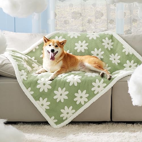 Lesure Waterproof Dog Blanket for Large Dogs - Washable Double Sided Dog Blankets with Warm Jacquard Shag and Soft Sherpa Fleece, Pet Cat Blanket for Couch Protection, 3D Textured Cloud, Green - L(40x50") - Green