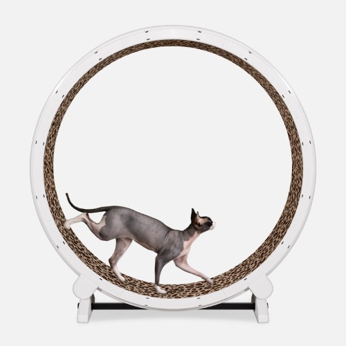Cat Exercise Wheel | White / Leopard / Light-up LED