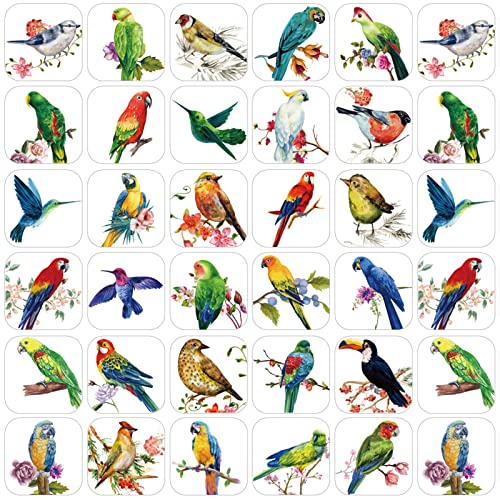 Hotop 600 Pcs Bird Stickers for Kids Bird Photos Stickers Animals Bird Stickers Realistic Bird Stickers Teachers Student Stickers for Teacher Supplies Classroom Animals Bird Theme Party Favor