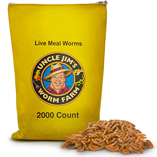 Uncle Jim's Worm Farm: Live Mealworms