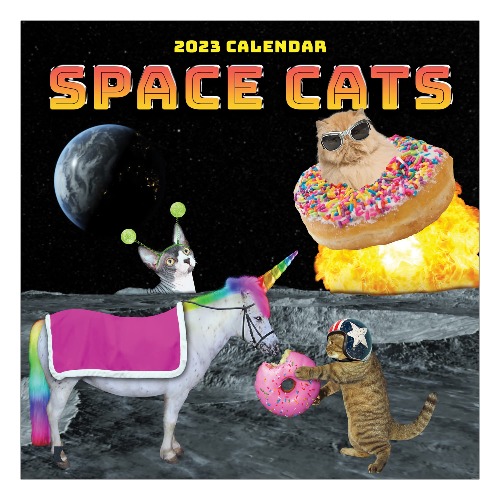 Space Cats Calendar 2023 