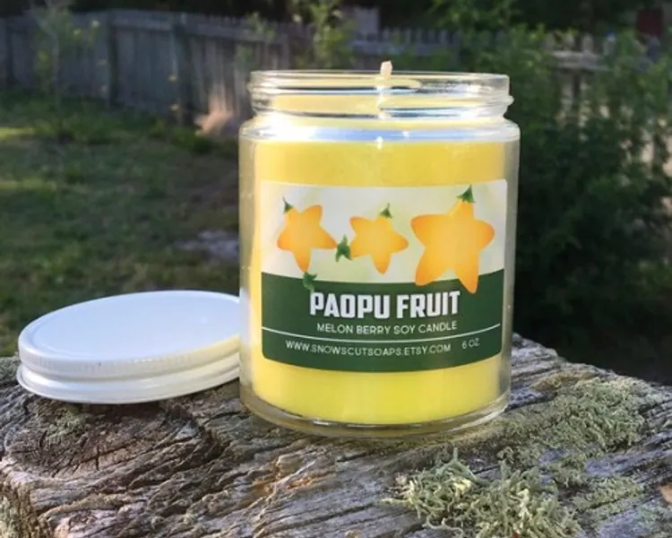 Paopu Fruit Candle  Melon Berry Candle | Etsy