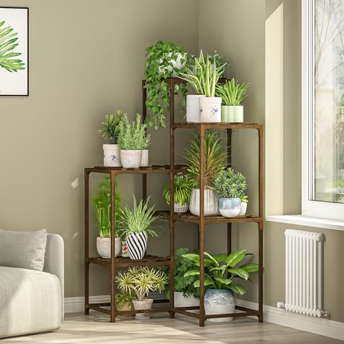 Indoor Plant Shelf ( After Move ) 