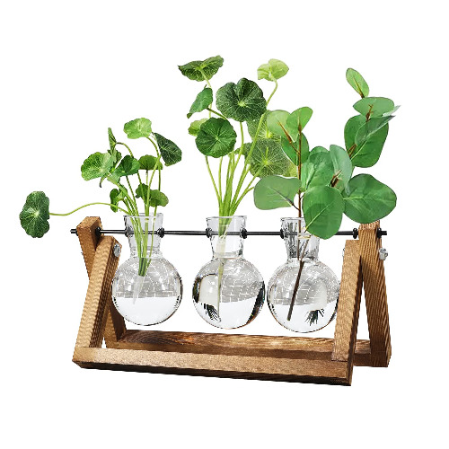 Mozing Bulb Vase, Desktop Clear Glass Planter Bulb Vase with Solid Wooden Stand and Holder for Hydroponics Plants Home Garden Wedding Decoration(No Included Plants)