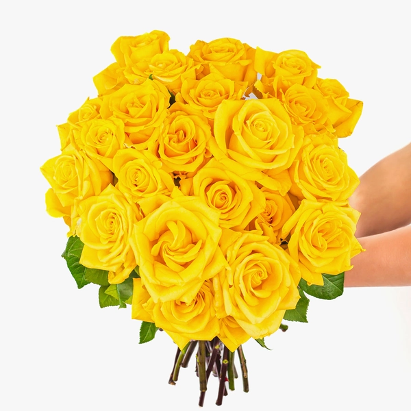 Yellow Rose Bouquet - Two Dozen