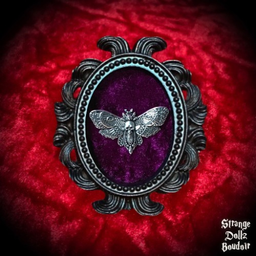 Small gothic purple death moth frame, gothic home decor, Strange Dollz Boudoir - Wall hanging