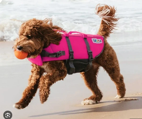 Outward Hound Dog Life Jacket