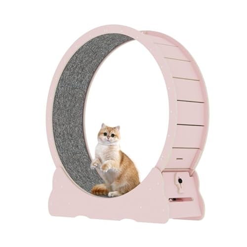 Homegroove Cat Exercise Wheel, 35.8 inch Cat Wheels for Indoor Cats, Versatile Cat Running Wheel Treadmill with Detachable Carpet for Cat's Weight Loss and Health (M, Pink) - Medium - Pink
