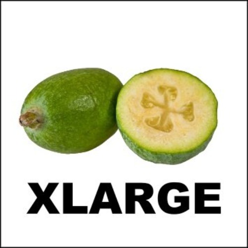 FEIJOA 5KG - XLARGE — Feijoa Addiction