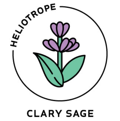 Essential Oil - Clary Sage - 1/8 oz