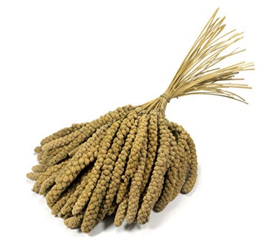 Britten & James Premium Quality Large 10 inch Millet Sprays for Birds. Approx. 1kg. Treat your birds to a healthy, stimulating, natural, low fat treat - 1kg (approx.)