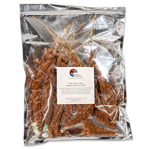 Parrot Essentials Red Millet Spray for Birds Food (250g) – Healthy Parrot Food, Natural Bird Treats, Millet for Budgies Food, Budgie Treats, Cockatiel Treats, Conure, Lovebird Food, Parrotlets, Parakeets, Canary Treats, Finch Food & More