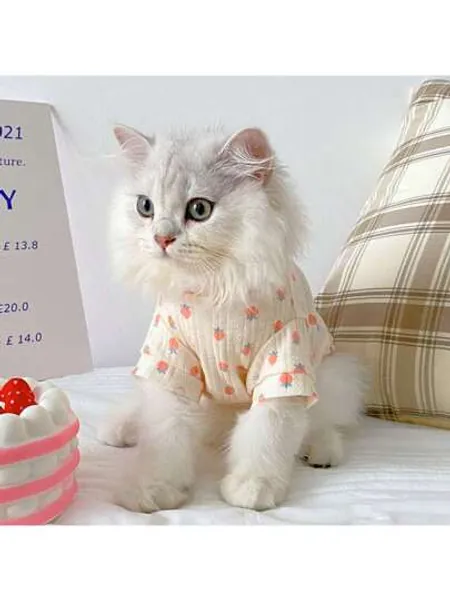 1 st. Stickad Jordgubbe & Katt Mönster Västar Lämplig För sommaren