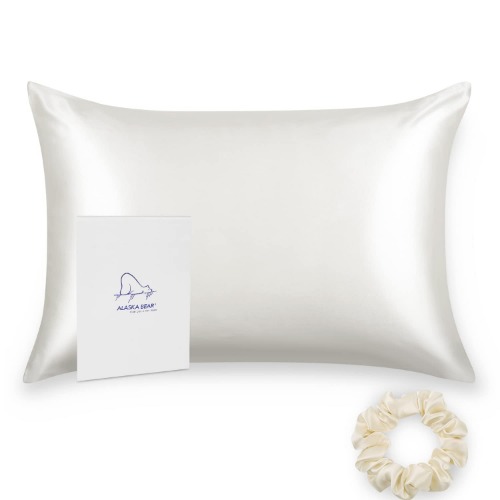 ALASKA BEAR - Natural Silk Pillowcase, Hypoallergenic, 19 Momme, 600 Thread Count 100 Percent Mulberry Silk, Queen Size with Hidden Zipper(Ivory White)