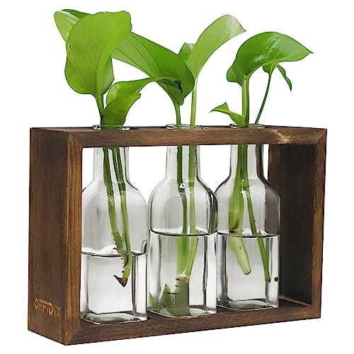 OFFIDIX Plant Propagation Stations, Desktop Glass Plant Terrarium with Wooden Stand Glass Planter Flower Vase with 3 Jasr for Hydroponic Plants Office Home Decoration - M
