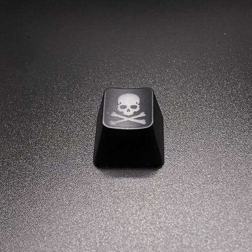 BTXETUEL Skull Backlit Keycap,Costom kecaps for Cherry MX Mechanical Keyboard,SA Profile, R4 Keycaps,ABS Translucent Backlight keycap,Artisan keycap,Personalized keycap. (Skull 1) - Skull 1