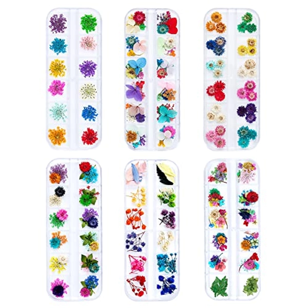 iFancer Dried Flowers for Resin Craft Nail Art Mix Small Mini Dry Flowers (Pack of 6 Boxes, About 260 PCS)