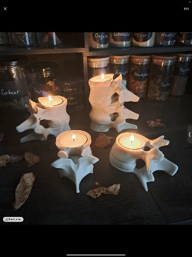 Spine candle holder