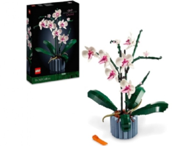 LEGO Creator Expert 10311  