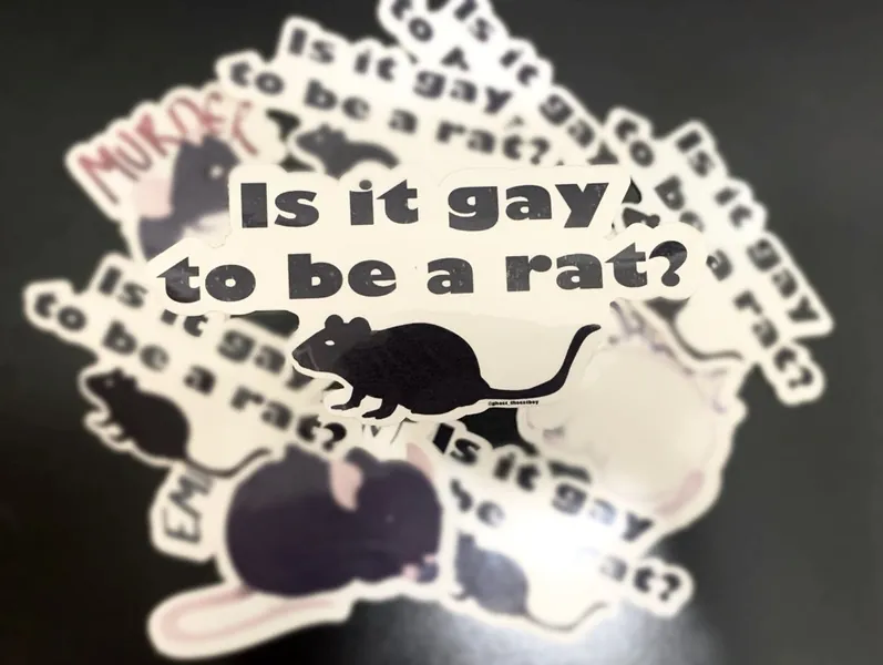 Is It Gay to Be a Rat Sticker read Disclaimer Before Buying - Etsy Canada