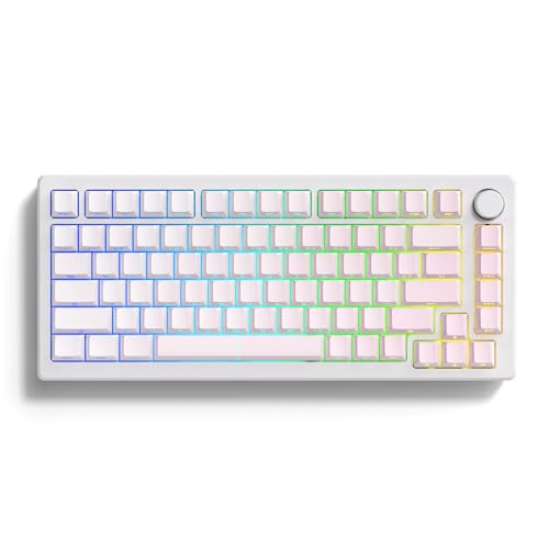 Shine Through Keycaps PBT,Side Printed keycap 75 Percent,Double Shot keycaps Set,Gradient Pink keycaps,Cherry Profile for Mechanical Gaming Keyboards（121 Key,only keycap） - Light Pink