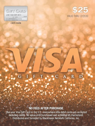 $25 Visa Gift Card