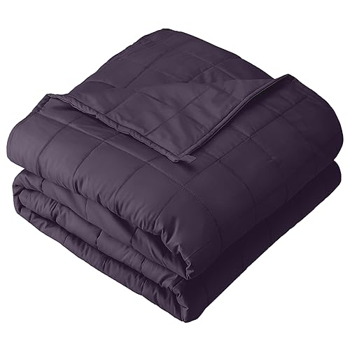 Bare Home Weighted Blanket Queen Size 17lbs (60" x 80") for Adults - All-Natural 100% Cotton - Premium Heavy Blanket Nontoxic Glass Beads (Eggplant, 60"x80") - 60" x 80" 17 lbs - 06 - Cotton Eggplant