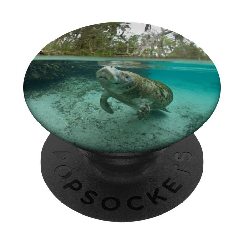 Manatee PopSocket