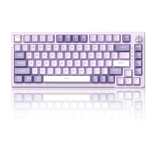 MageGee SKY81 75% Mechanical Gaming Keyboard, Gasket Hot Swappable Wired Custom Creamy Keyboard with 5-Layer Sound Dampening, Knob Control, RGB Backlit, NKRO for Win/Mac (Violet, Violet Switch) - Violet / Violet Switch