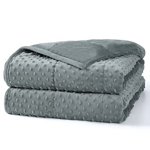 Alomidds Weighted Blanket (60"x80",20lbs Queen Size - Grey), Weighted Blankets for Adults and Kids, Cooling Breathable Soft and Comfort Minky, Heavy Blanket Microfiber Material with Glass Beads - A(grey) - 60"x80" 20LBS