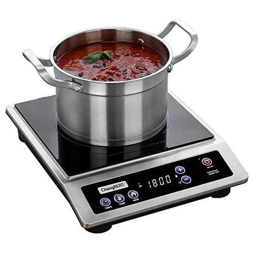 Induction Stove to Cook Food!