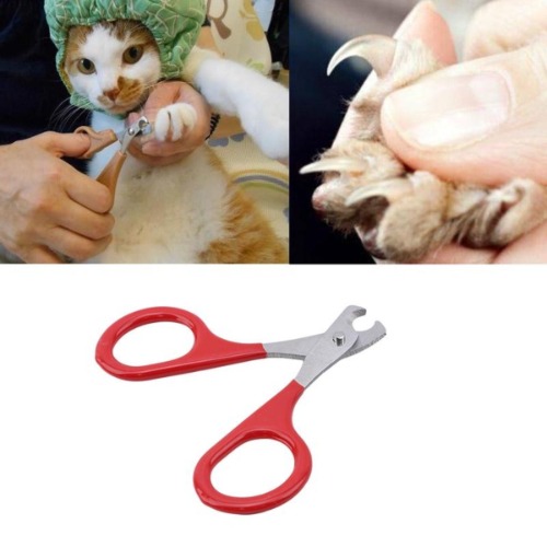 Stainless Steel Cat Nails Scissors 3 PCS Set - 3 PCS SET