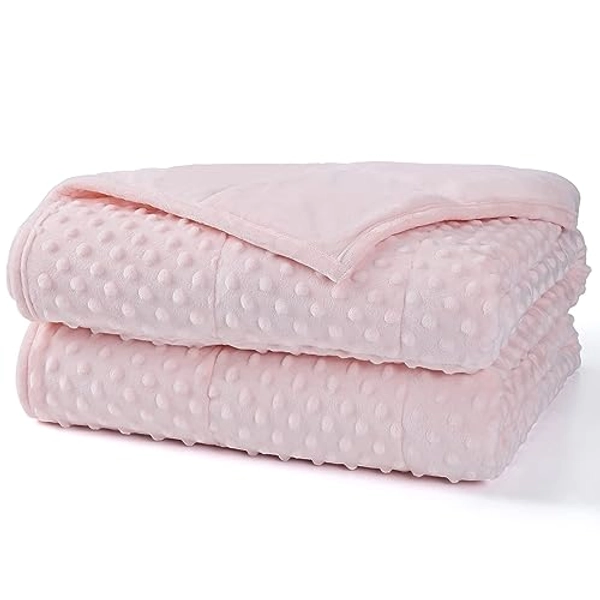Alomidds Weighted Blanket (60"x80",20lbs Queen Size - Pink), Weighted Blankets for Adults and Kids, Breathable Soft and Comfort Minky, Heavy Blanket Microfiber Material with Glass Beads