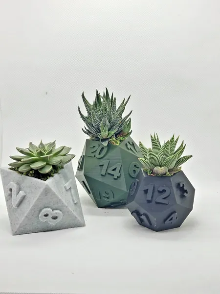 Table Top RPG Dice Succulent Planter Set - 3D Printed | 3D Printed Plant Pot | 20 sided, 12 sided, 8 sided Dice Set