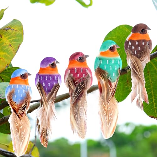 5 Piece Bird Clips