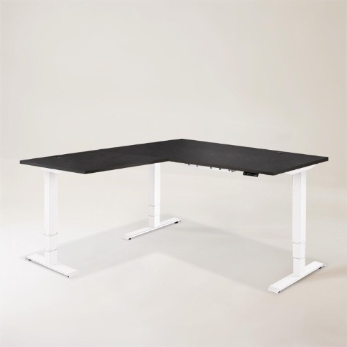 Grove Standing Desk - Oak Black - White
