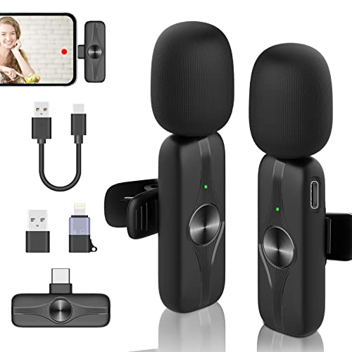 2pcs Microphone for phone/laptop