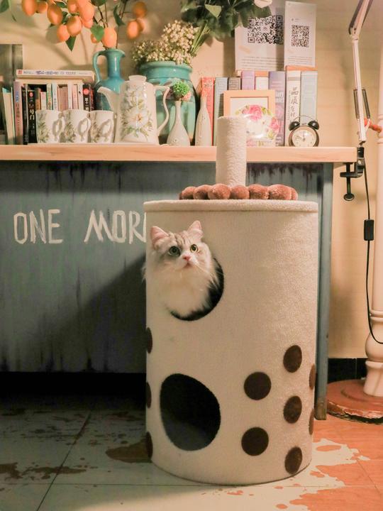 Bubble Tea Cat Tree (White) | Default Title