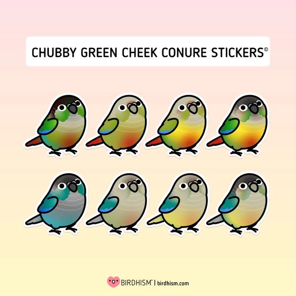 Chubby Green Cheek Conure 3.5" Sticker [Outdoor Quality]