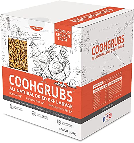 coohgrubs All Natural Dried Black Soldier Fly Larvae Chicken Treats, Healthy High Protein and Calcium Rich Treats for Laying Hens 2-lb - 2 Pound (Pack of 1)